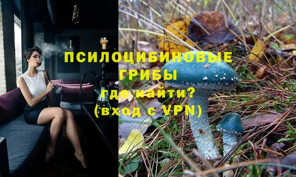 кокс Аркадак