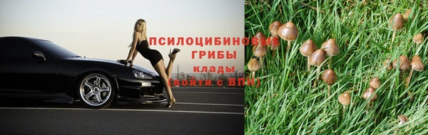 стаф Балахна