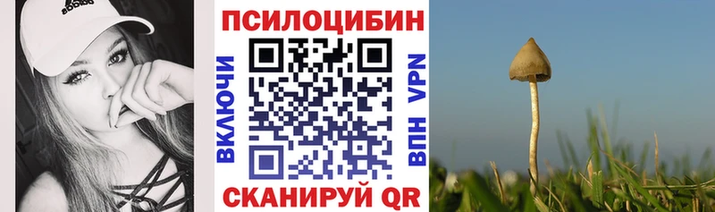 Псилоцибиновые грибы мицелий  hydra ТОР  Дорогобуж 
